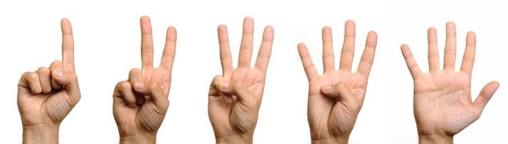 Bỏ phiếu đồng thuận - Bàn tay năm ngón (Fist of Five)
