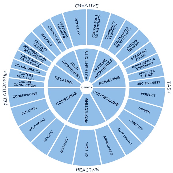 Leadership circle profile - TM
